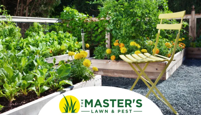 Love Your Lawn Again: Landscape Trends We’re Seeing for 2025