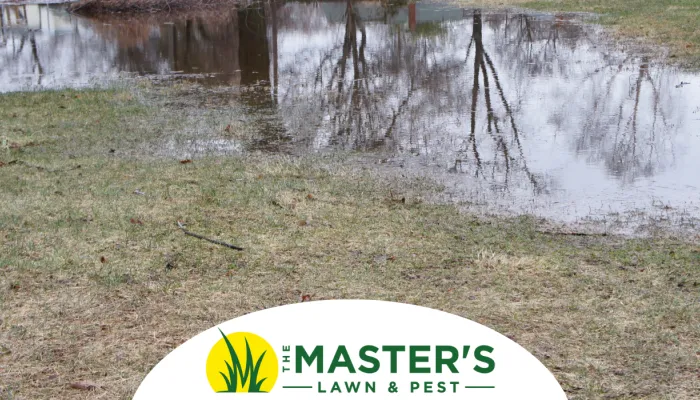 drainage issues?