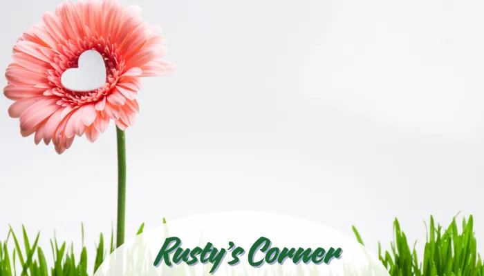Rustys Corner : Its Cool to Care