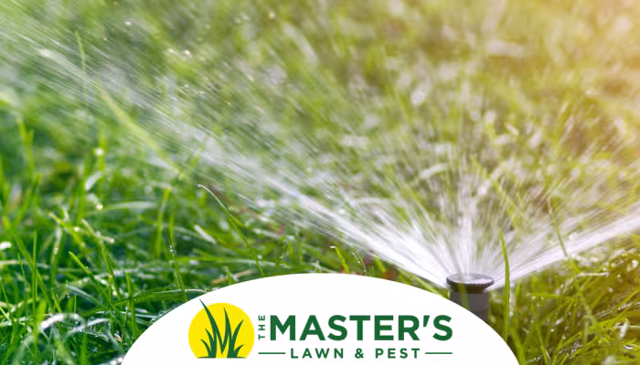Is Your Lawn Too Dry or Too Wet? How to Tell Before and After the Storm