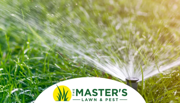 Is Your Lawn Too Dry or Too Wet? How to Tell Before and After the Storm