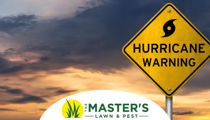 Hurricane Season