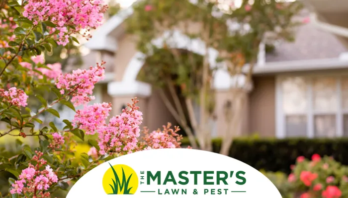 Fall landscape improvements