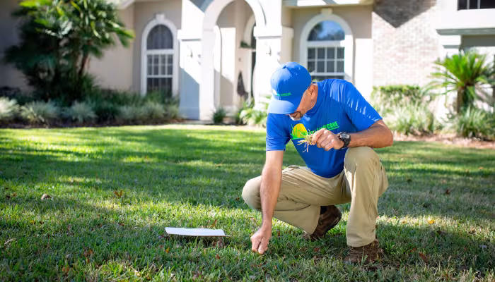 Palm Coast Lawn Care Experts
