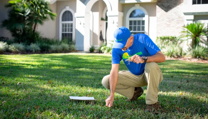 Palm Coast Lawn Care Experts