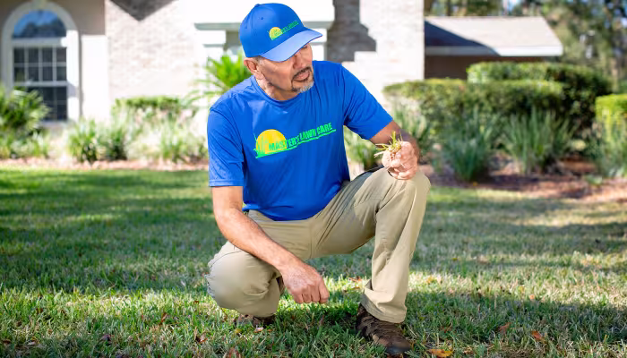 Palm Coast Lawn Care Experts
