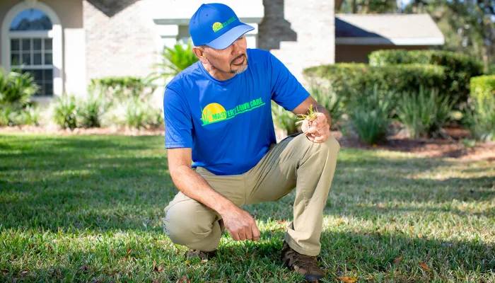 Palm Coast Lawn Care Experts