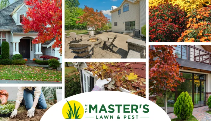 Fall Lawn Care in St. Augustine, Florida