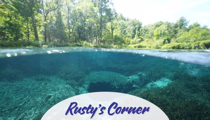 Don't miss North Florida's natural beauty