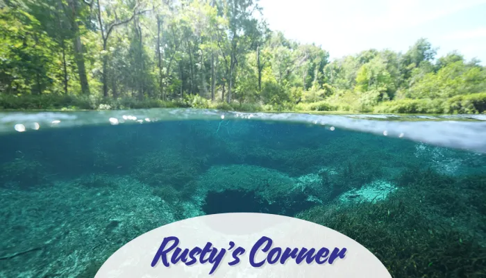 Don't miss North Florida's natural beauty