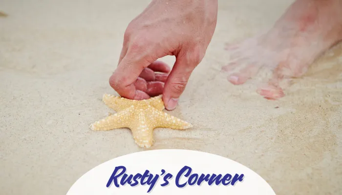 Rusty's Corner: Picking up a starfish on the beach