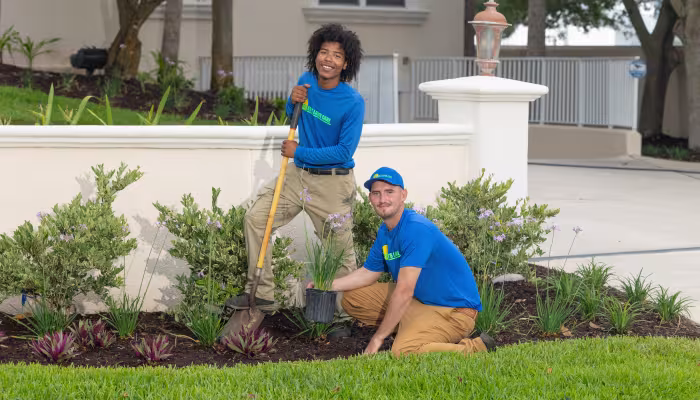 Palm Coast Landscape Experts