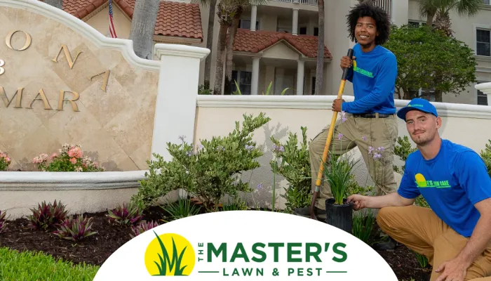 Landscape installation