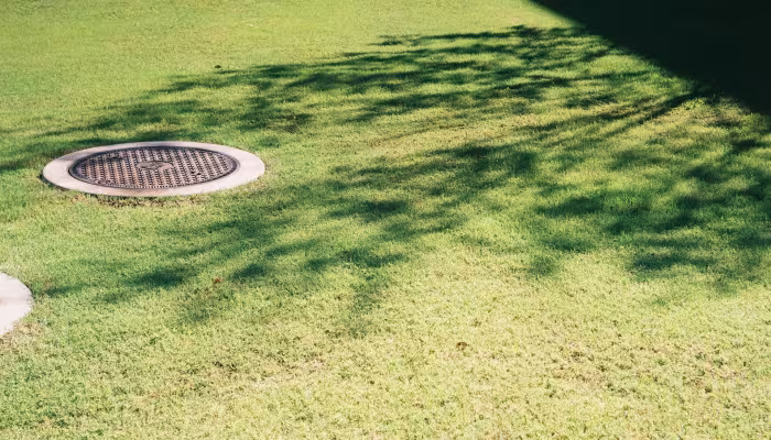 Drainage 