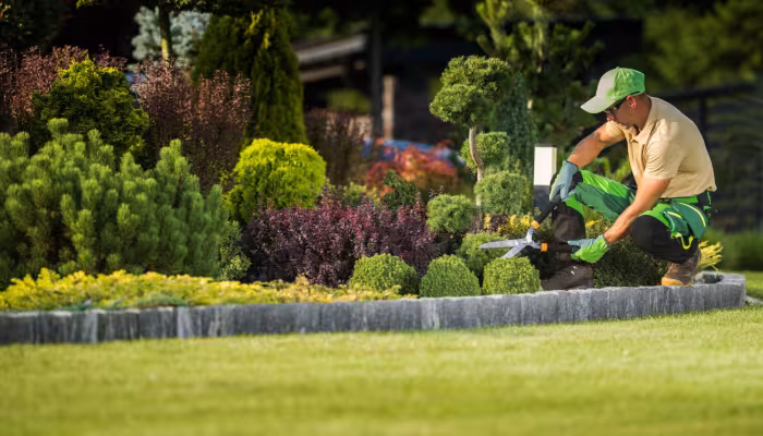 landscaping