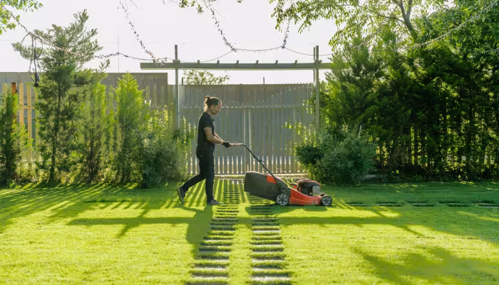 lawn care