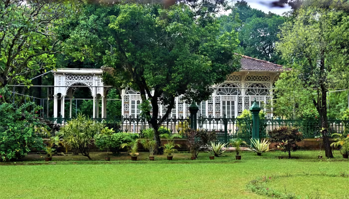 lawn
