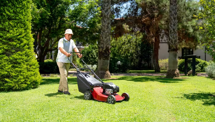 lawn care