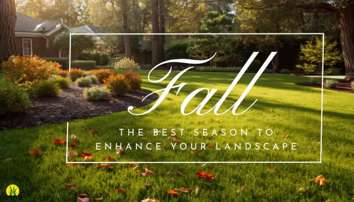 Fall landscape improvements