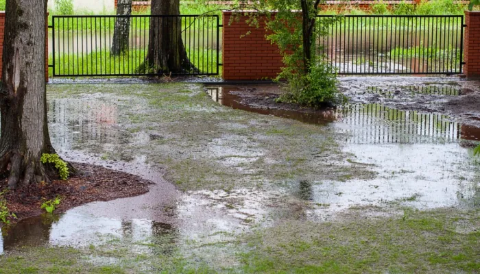 Poor Gainesville lawn drainage