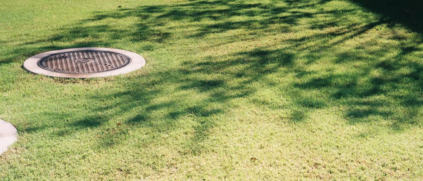 Drainage 