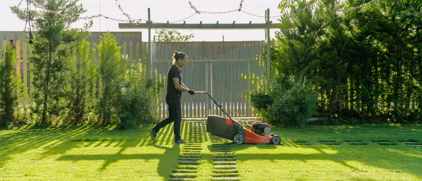lawn care