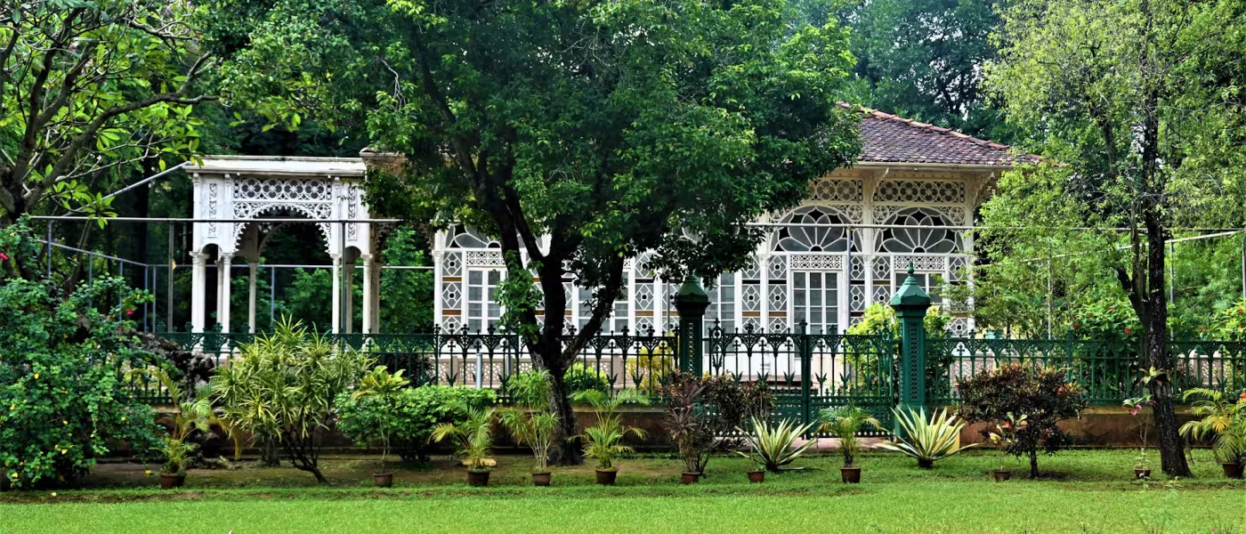 lawn