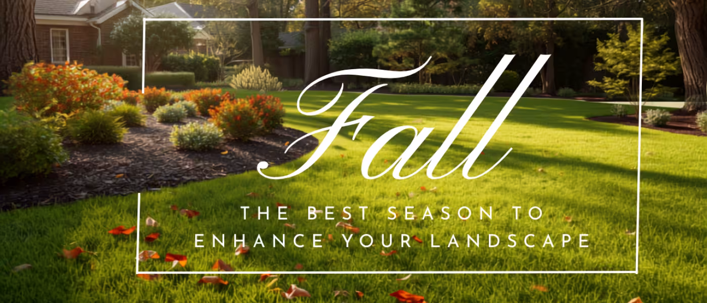 Fall landscape improvements