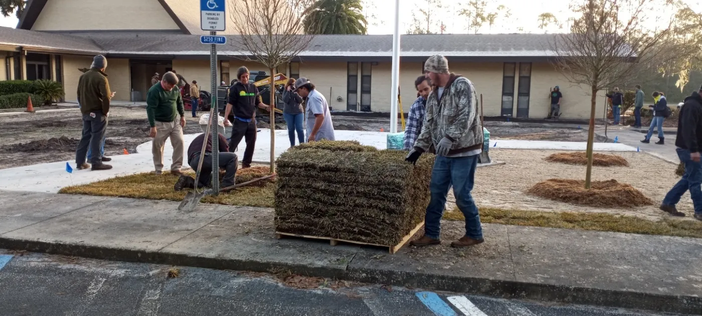 Laying sod