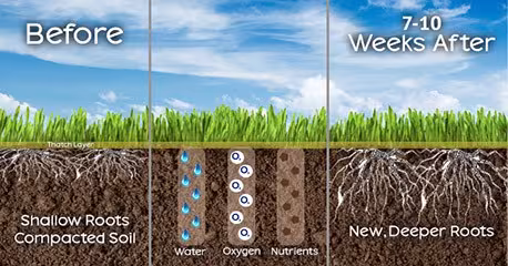 before and after aeration procss