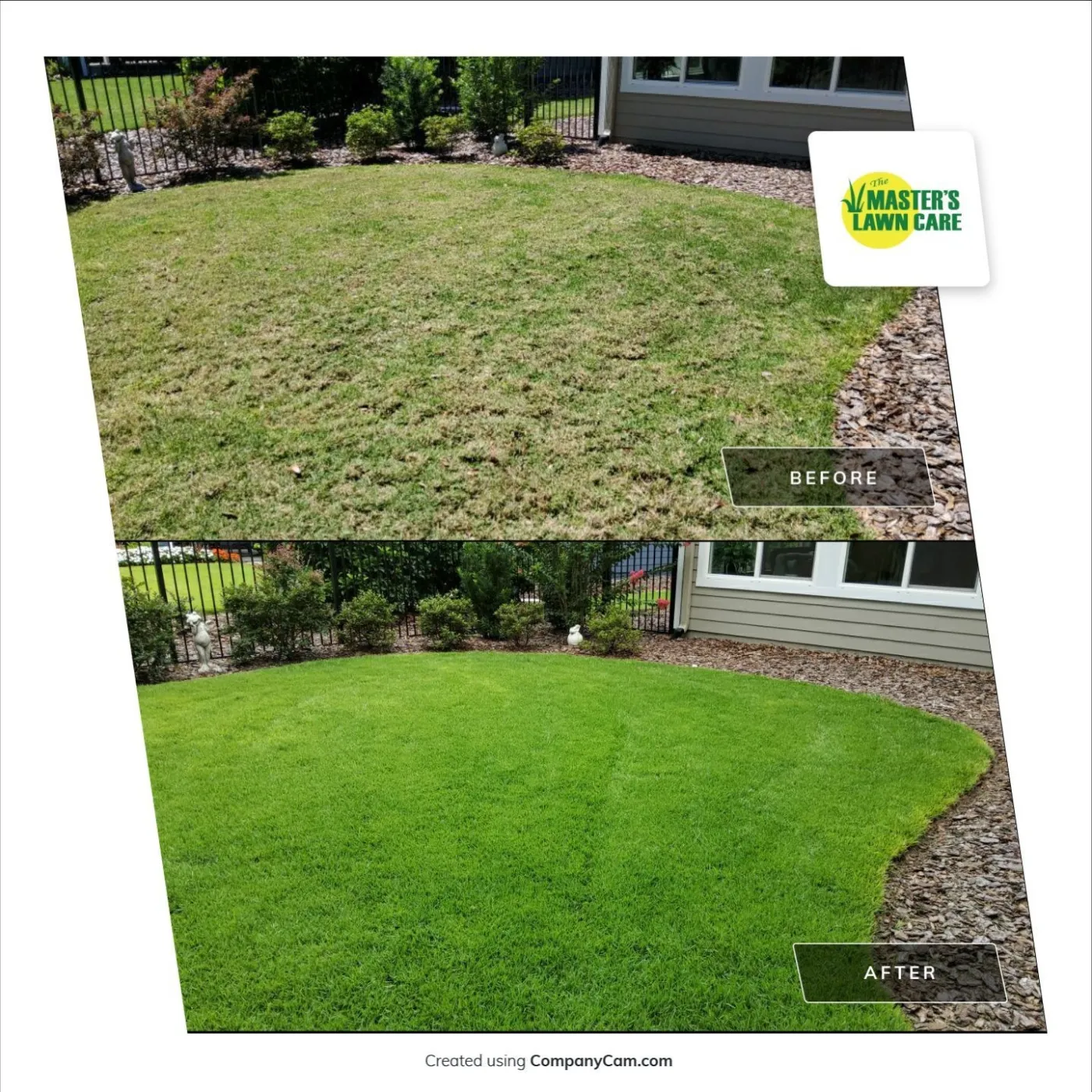 lawn health renovation before and after