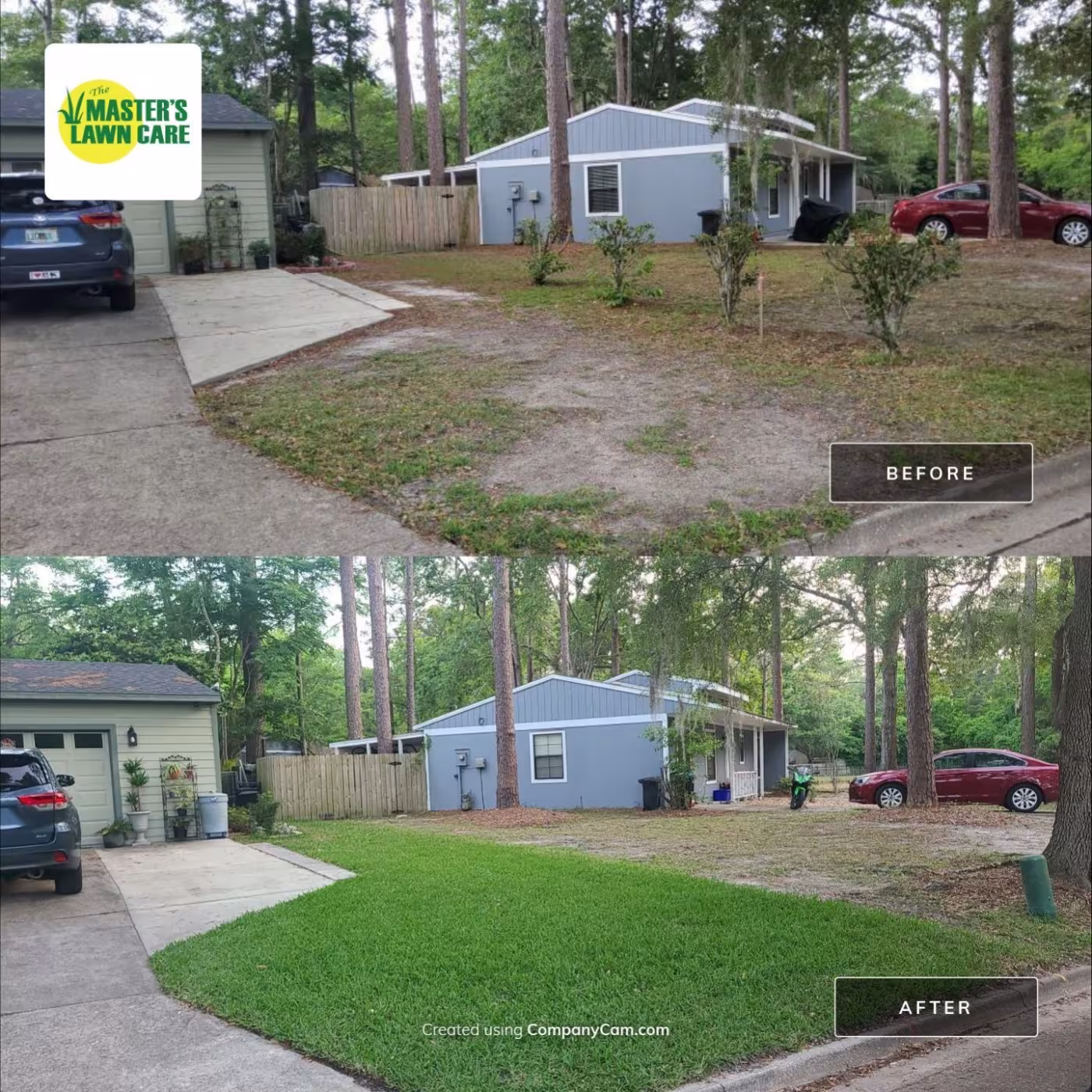 before and after sand to grass
