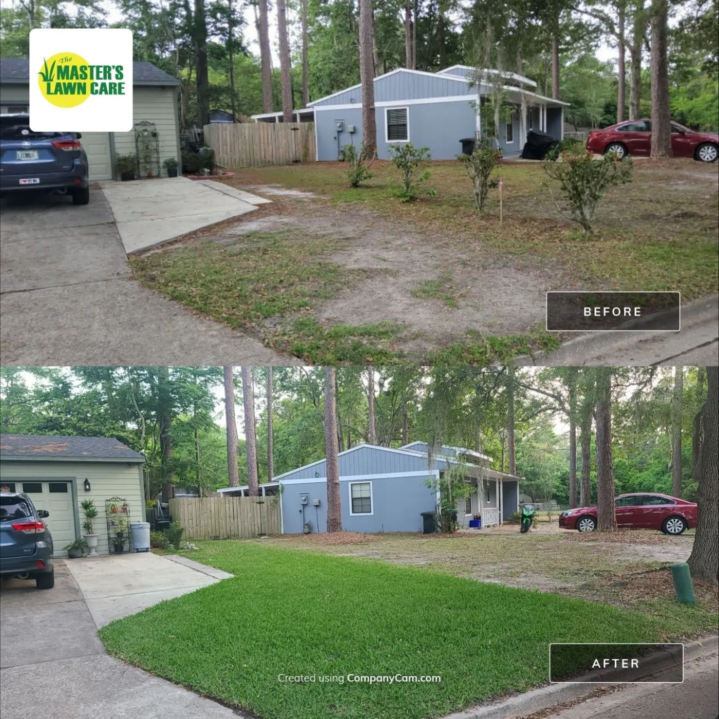 before and after sand to grass