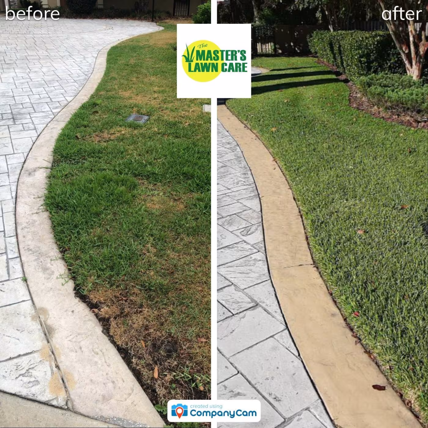From Dying to Lush and Green lawn before and after
