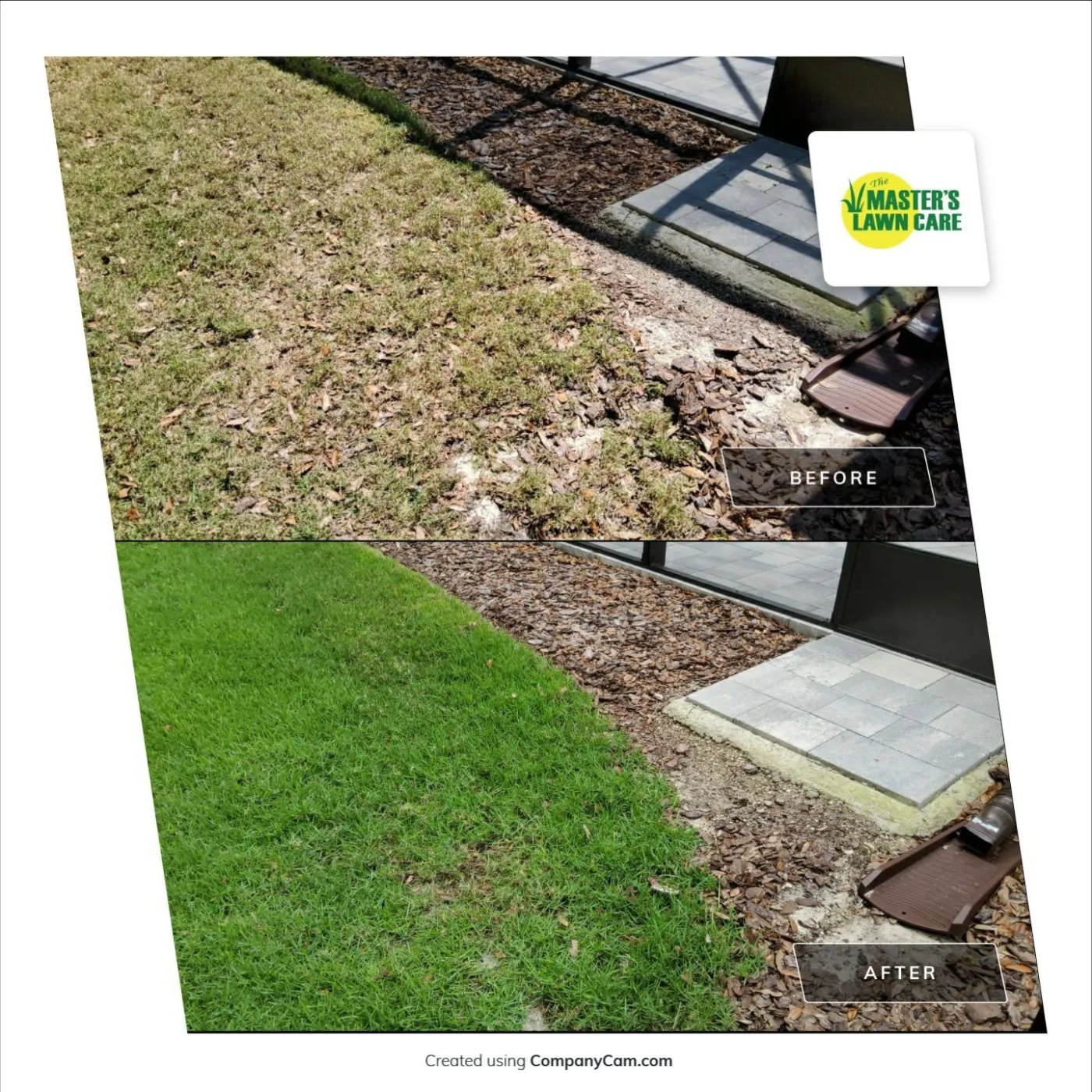lawn health renovation before and after