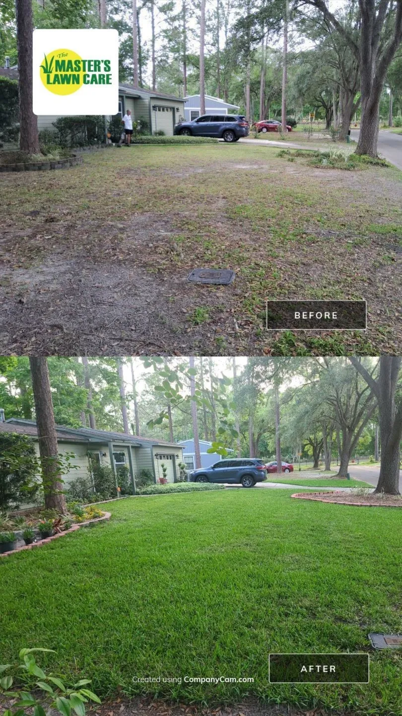 before and after sand to grass