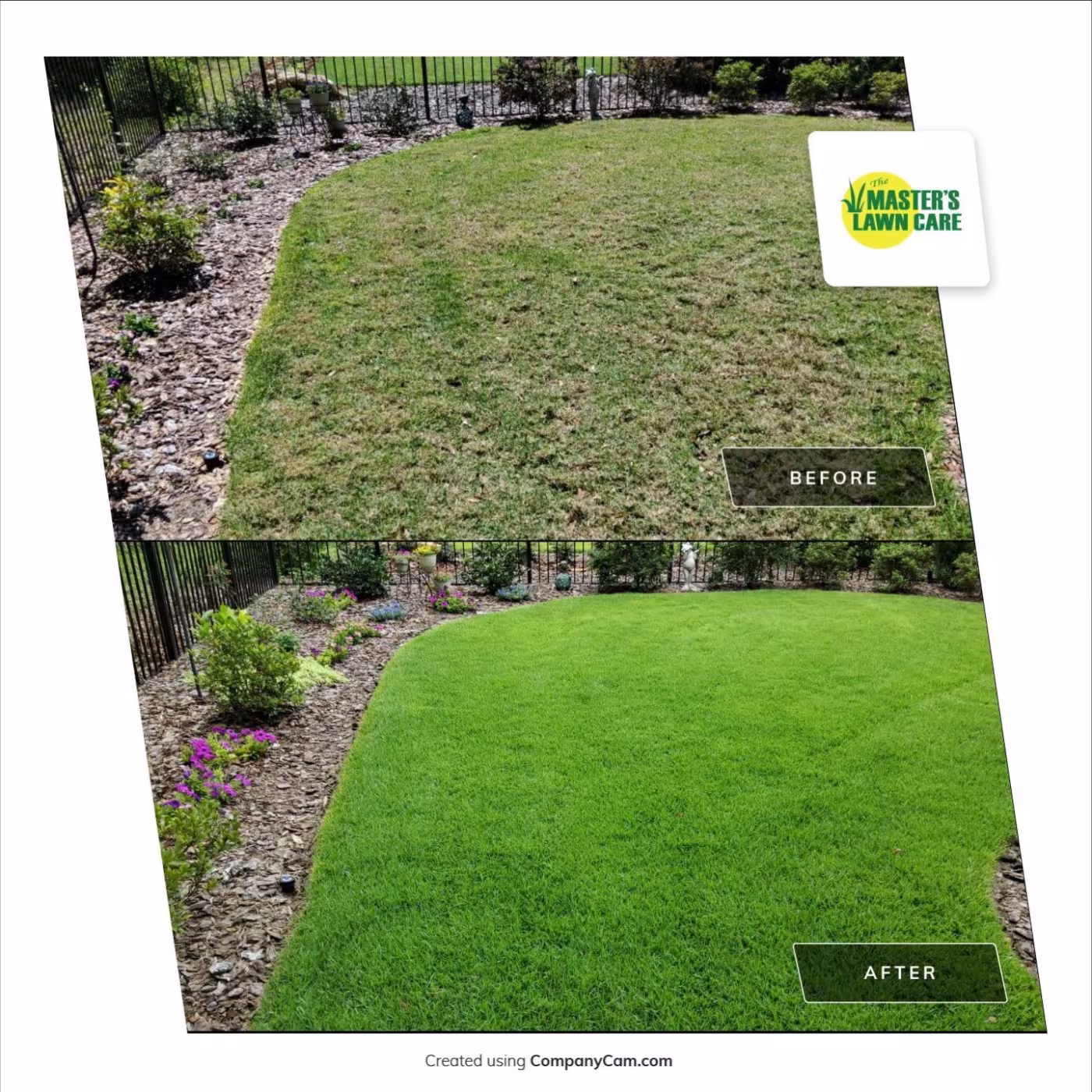 lawn health renovation before and after