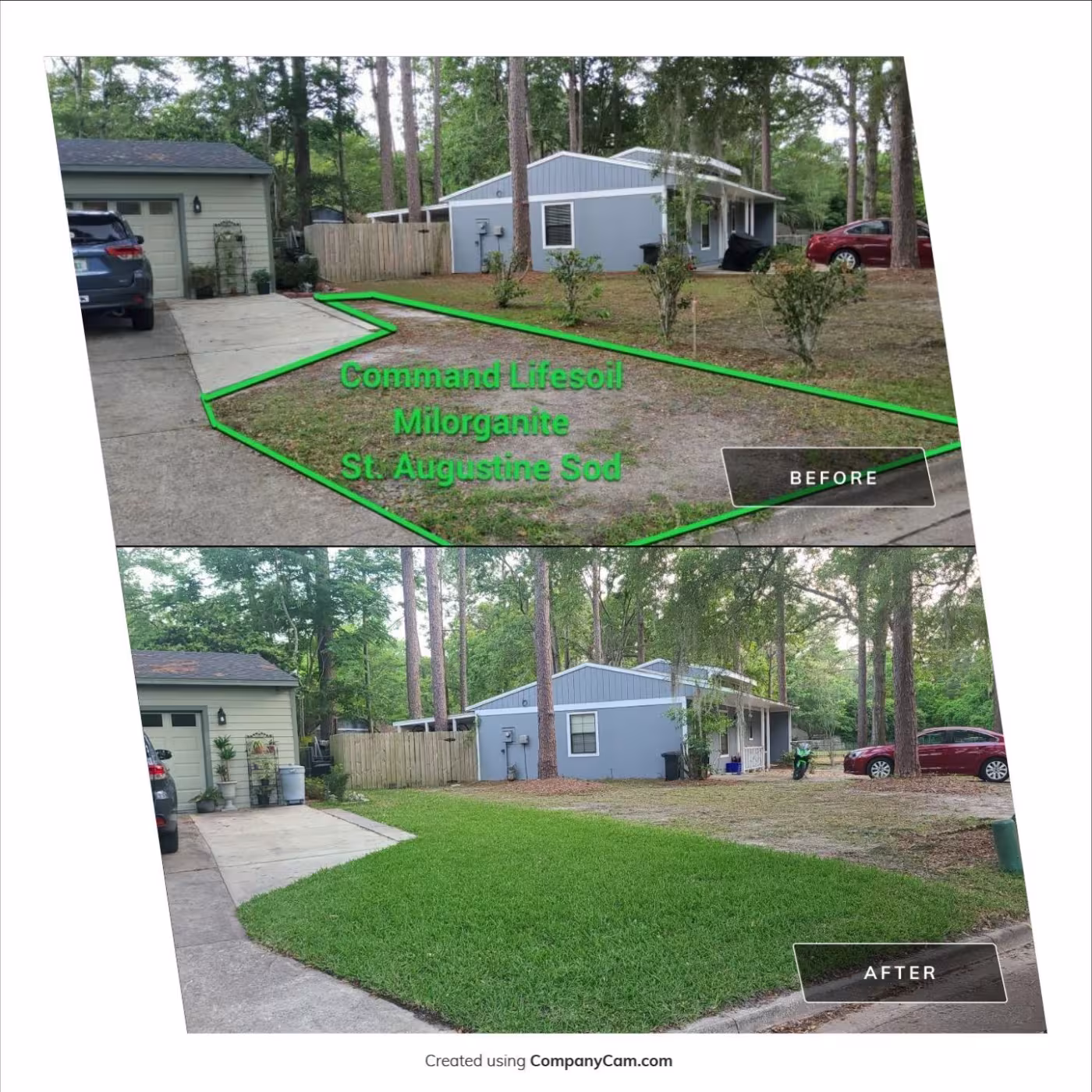 before and after sand to grass