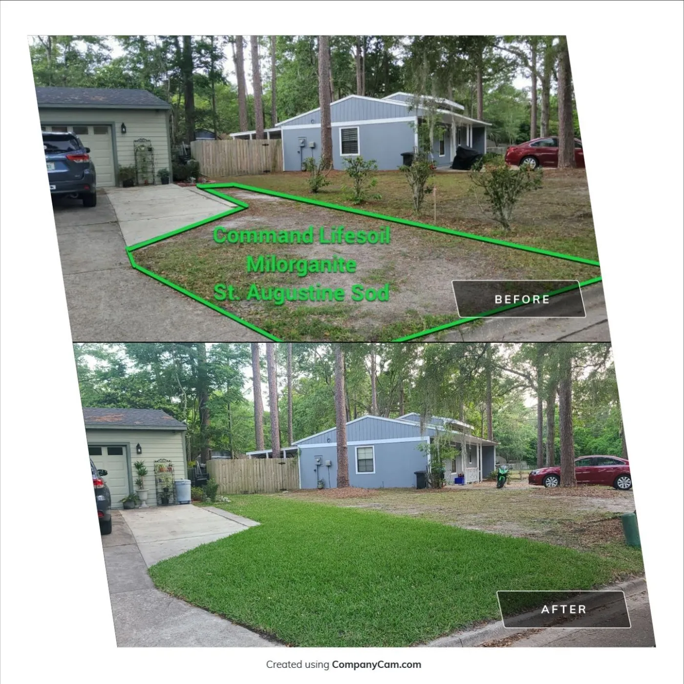 before and after sand to grass