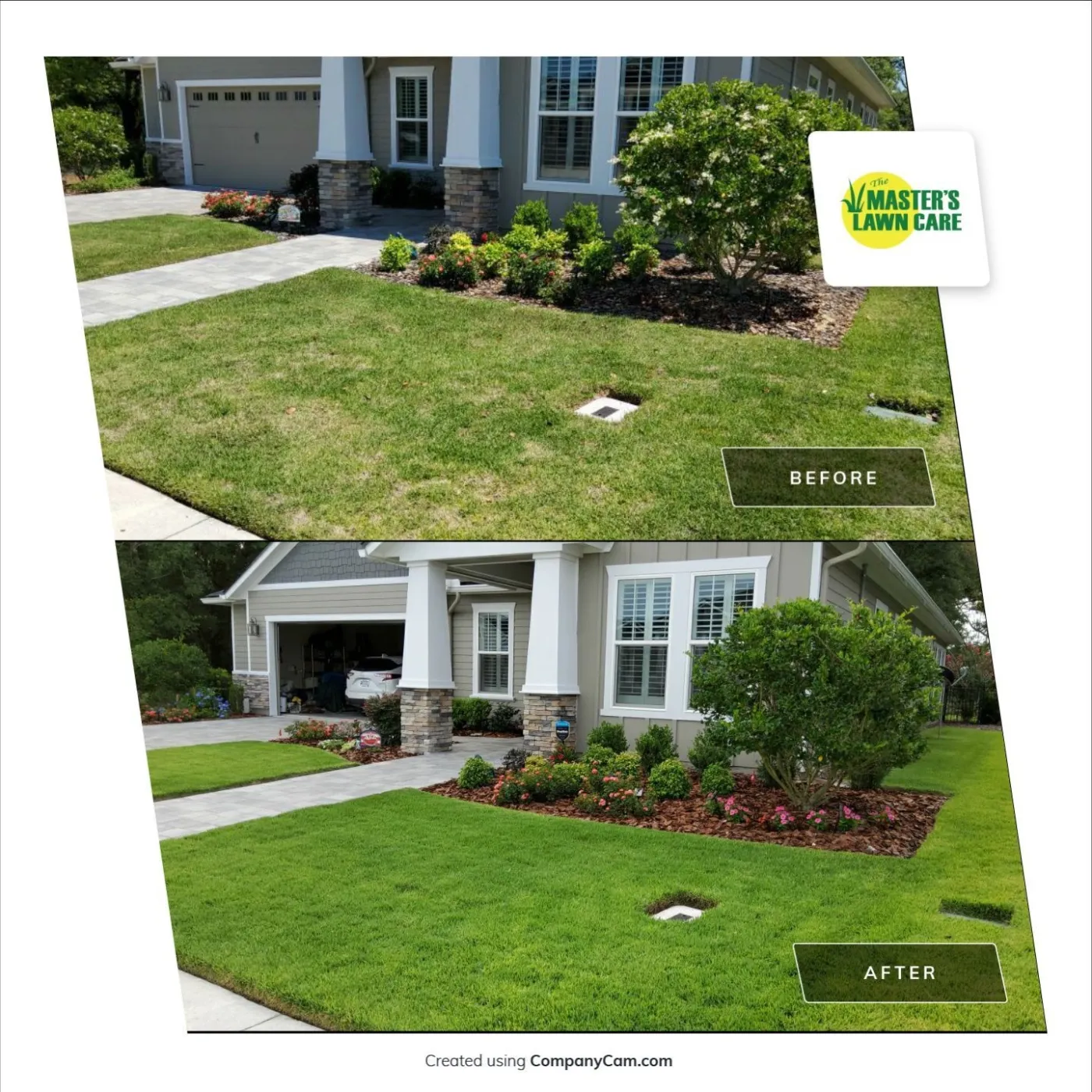 lawn health renovation before and after