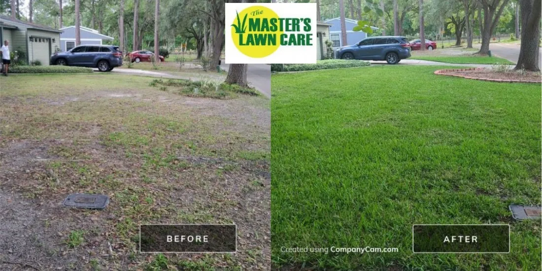 before and after sand to grass