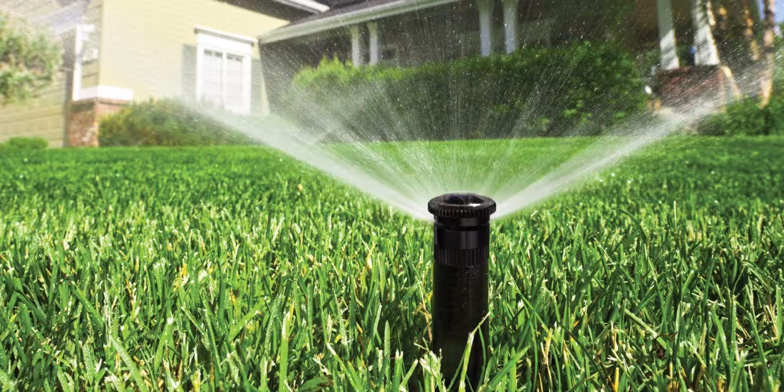 sprinkler head watering lawn