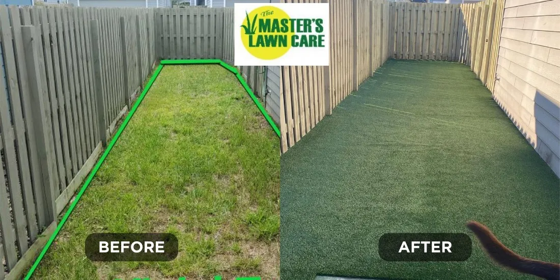 before and after Backyard Renovation