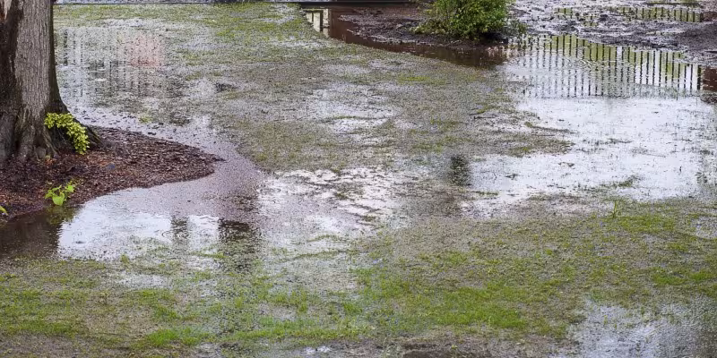 lawn drainage problem