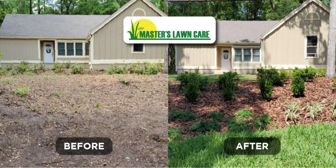 landscape renovation before and after