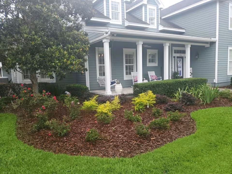 landscape in front yard