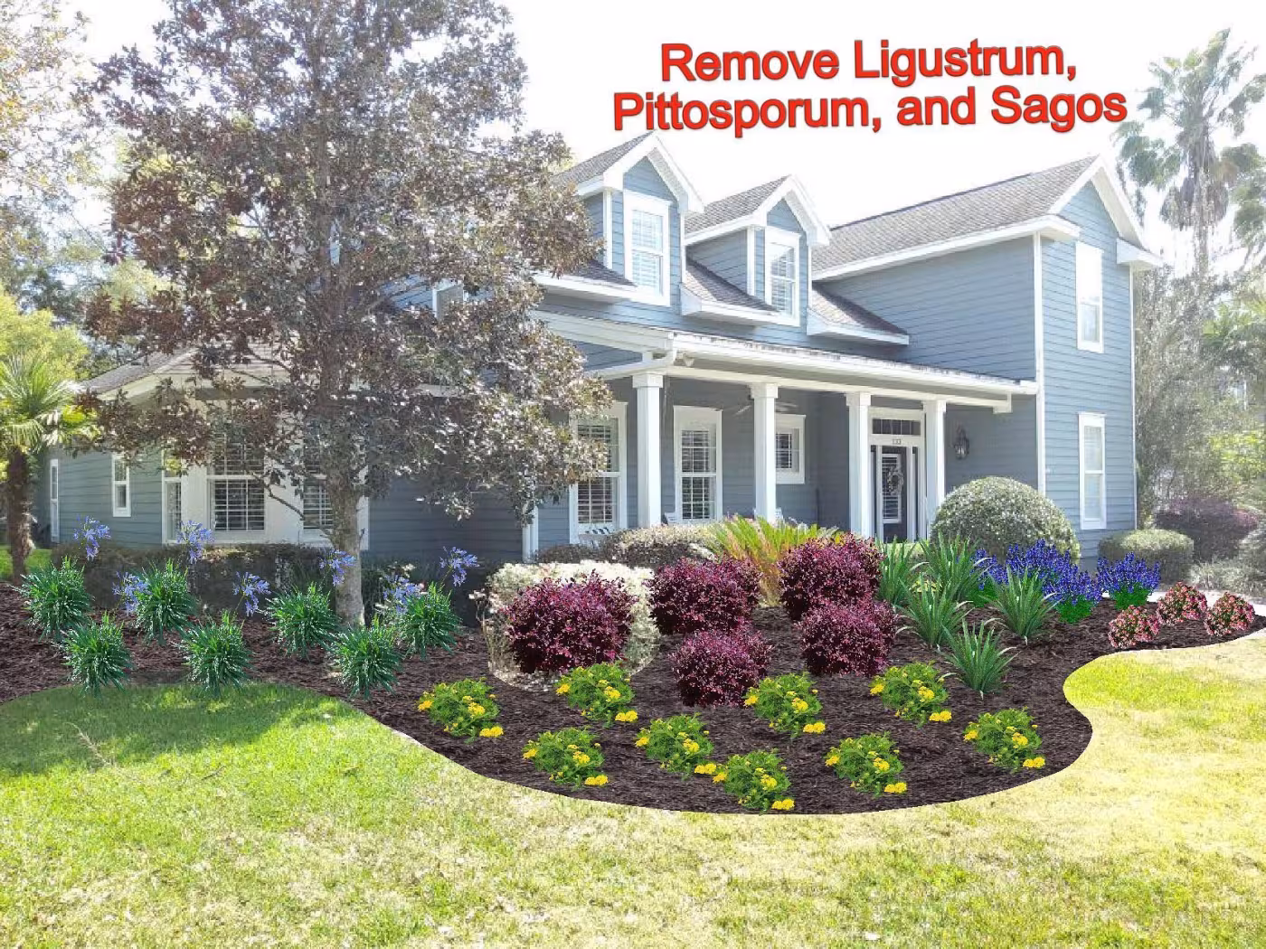 landscape plan image