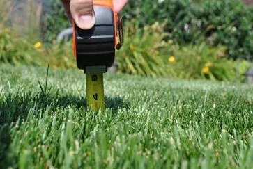 measuring grass height with tape measure