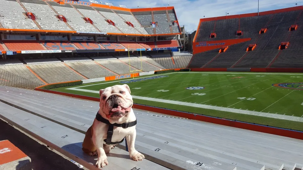 munson at the UF stadium