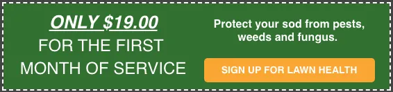 protect sod coupon 